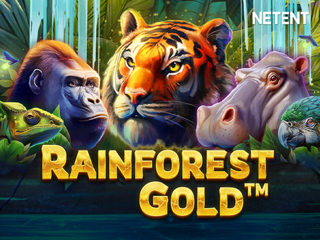 Rainforest Gold демо слот