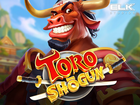 Toro Shogun демо версия
